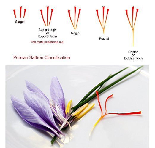 Saffron_Types_888b7c37-05ba-